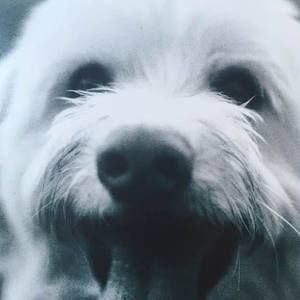 Meet your Posher, Lesa